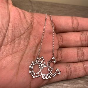 Scorpio Necklace (womens)